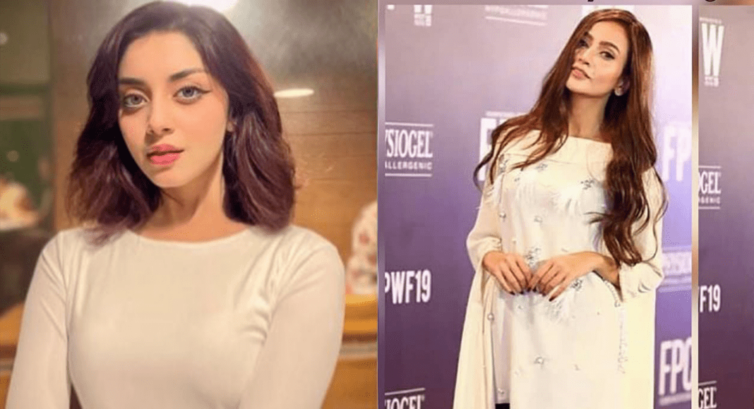 alizey shah
